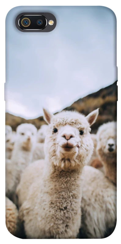 Чехол на Realme C2 Лама фото 1 из 1