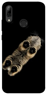 Чехол на Huawei P Smart (2019) Cat фото 1 из 1
