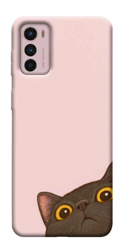Чохол на Motorola Moto G42 Peeping cat фото 1 з 1
