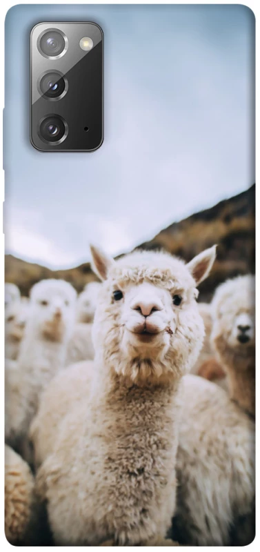 Чохол на Samsung Galaxy Note 20 Лама фото 1 з 1