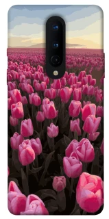 Чохол на OnePlus 8 Spring Awakening фото 1 з 1