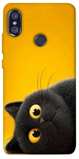 Чохол на Xiaomi Redmi Note 5 Pro / Note 5 (AI Dual Camera) This is Cat фото 1 з 1