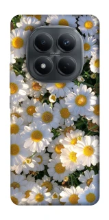 Чехол на Xiaomi Redmi Note 15 Pro 4G Поле ромашек фото 1 из 1