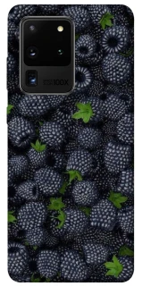 Чохол на Samsung Galaxy S20 Ultra Fresh фото 1 з 1