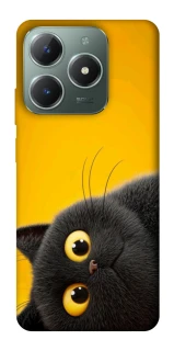 Чохол на Realme C61 This is Cat фото 1 з 1