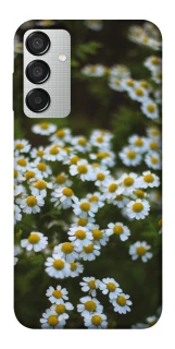 Чехол на Samsung Galaxy M15 5G Ромашки v13 фото 1 из 1