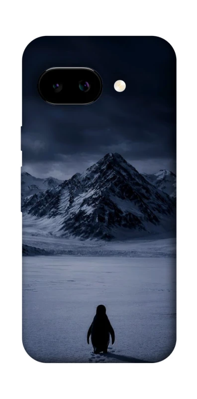 Чехол на Google Pixel 9a But why? фото 1 из 1