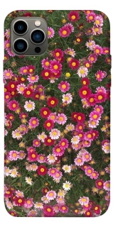Чохол на Apple iPhone 12 Pro (6.1") Flowers v8 фото 1 з 1