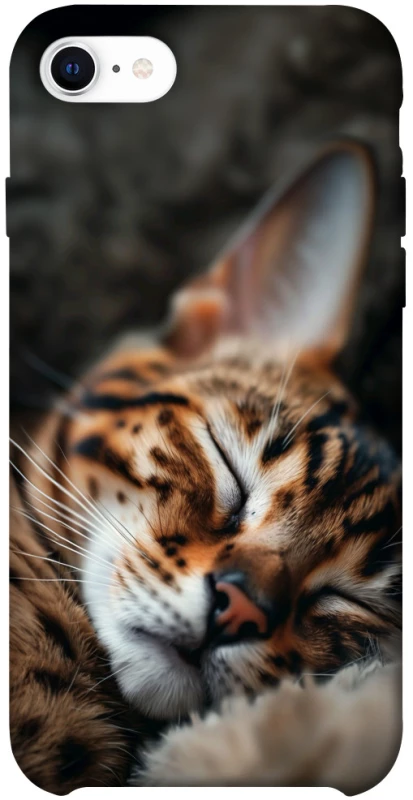 Чохол на Apple iPhone SE (2020) Cat paws фото 1 з 1