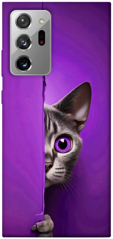 Чохол на Samsung Galaxy Note 20 Ultra Кіт-підглядач фото 1 з 1