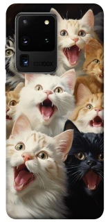 Чехол на Samsung Galaxy S20 Ultra Коты фото 1 из 1
