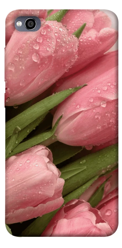 Чохол на Xiaomi Redmi 4a Beauty фото 1 з 1