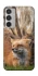 Чехол на Samsung Galaxy M35 Лиса фото 1 из 1