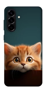 Чохол на Samsung Galaxy A56 5G Чохол Кошеня фото 1 з 1