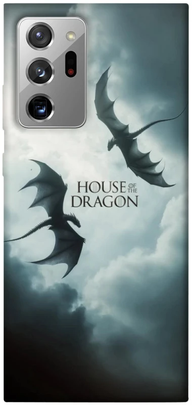 Чехол на Samsung Galaxy Note 20 Ultra House of the Dragon ver.5 фото 1 из 1