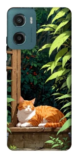 Чохол на Motorola Moto G06 red cat фото 1 з 1