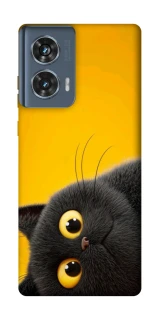 Чехол на Motorola Edge 50 This is Cat фото 1 из 1