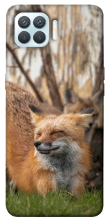 Чехол на Oppo F17 Pro Лиса фото 1 из 1
