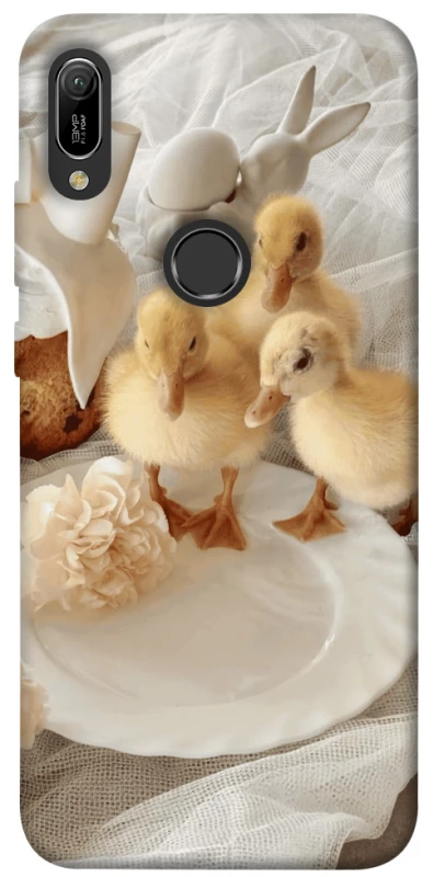 Чохол на Huawei Y6 (2019) Easter Vibes фото 1 з 1