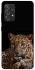 Чохол на Samsung Galaxy A52 4G / A52 5G Leopard v4 фото 1 з 1