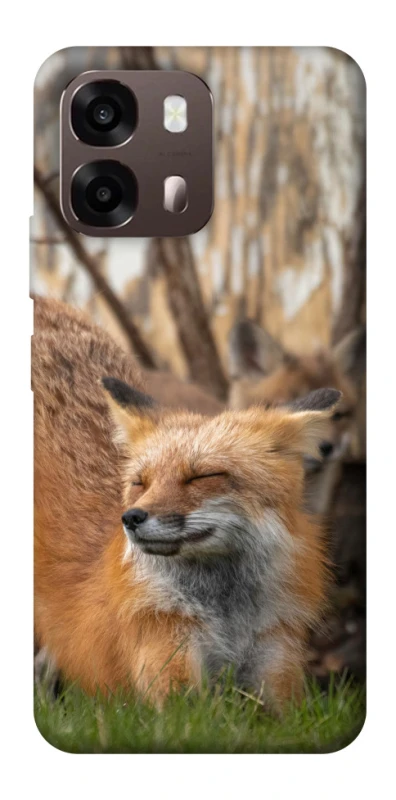 Чехол на Oppo A6 Лиса фото 1 из 2