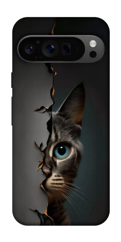 Чехол на Google Pixel 9 Pro Кот-подглядыватель v2 фото 1 из 1