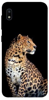 Чехол на Samsung Galaxy A10 (A105F) Leopard v2 фото 1 из 1