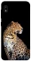 Чехол на Samsung Galaxy A10 (A105F) Leopard v2 фото 1 из 1