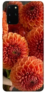 Чохол на Samsung Galaxy S20+ Flower1 фото 1 з 1