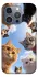 Чехол на Apple iPhone 16 Pro Max Cats фото 1 из 1