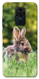 Чехол на Xiaomi Redmi Note 9 / Redmi 10X Кролики фото 1 из 1