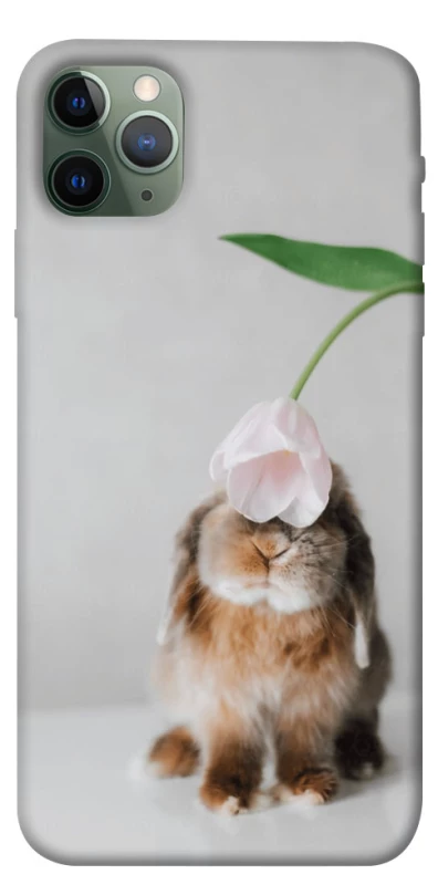 Чохол на Apple iPhone 11 Pro Max (6.5") Bunny фото 1 з 1