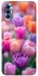 Чохол на TECNO Spark 8P Тюльпанове поле фото 1 з 1