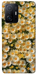 Чехол на Xiaomi 11T / 11T Pro Camomile фото 1 из 1