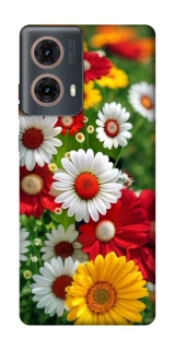 Чохол на Motorola Moto G85 Flowers v11 фото 1 з 1