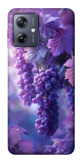 Чохол на Motorola Moto G54 Bunch of grapes фото 1 Чохол на Motorola Moto G54 Bunch of grapes фото 1 з 1