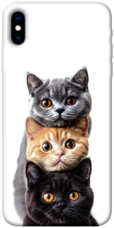Чохол на Apple iPhone X (5.8") Гарні котики фото 1 з 1