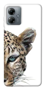 Чохол на Motorola Moto G14 Leopard Art v2 фото 1 з 1