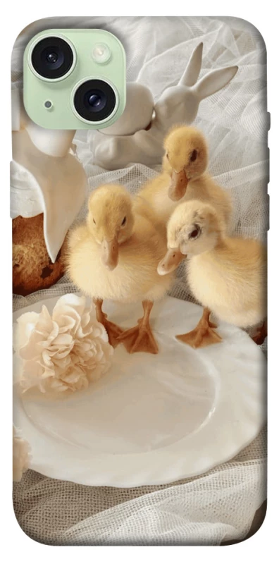 Чохол на Apple iPhone 15 Plus (6.7") Easter Vibes фото 1 з 1