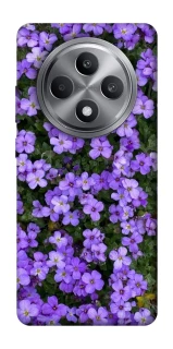 Чохол на Oppo Reno 12 F 4G Flowers v17 фото 1 з 1