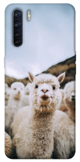 Чехол на Oppo A91 Лама фото 1 из 1