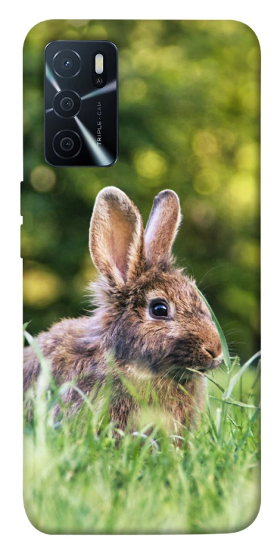 Чехол на Oppo A16s / A16 Кролики фото 1 из 1
