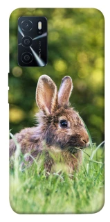 Чехол на Oppo A16s / A16 Кролики фото 1 из 1