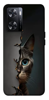 Чохол на OnePlus Nord N20 SE Кіт-підглядач v2 фото 1 з 1