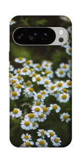 Чехол на Google Pixel 10 Pro Ромашки v13 фото 1 из 1