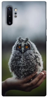 Чехол на Samsung Galaxy Note 10 Plus Совёнок фото 1 из 1