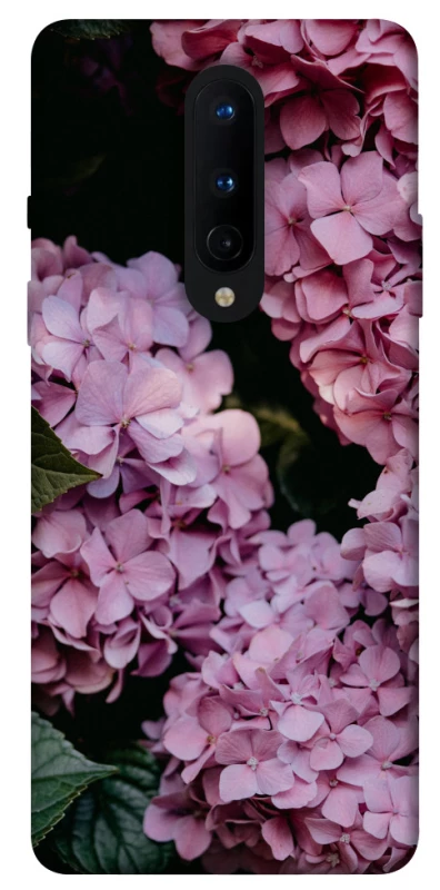 Чехол на OnePlus 8 Розовые гартензии фото 1 из 1