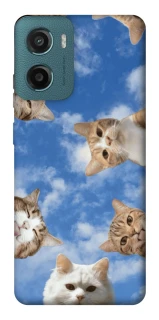 Чехол на Motorola Moto G06 Сats фото 1 из 1