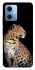 Чохол на Xiaomi Poco X5 5G Leopard v2 фото 1 з 1