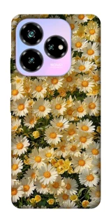 Чохол на ZTE Nubia V60 Desing Camomile фото 1 з 1